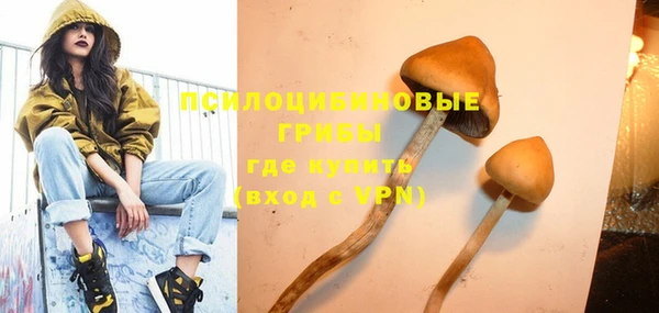 молекула духа Абинск